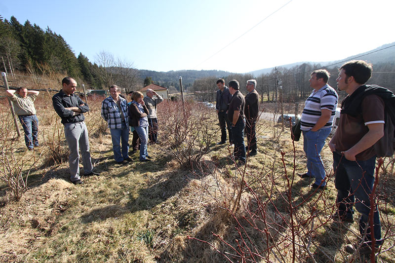 producteurs-bleu-vert-vosges-dans-verger-de-bluet